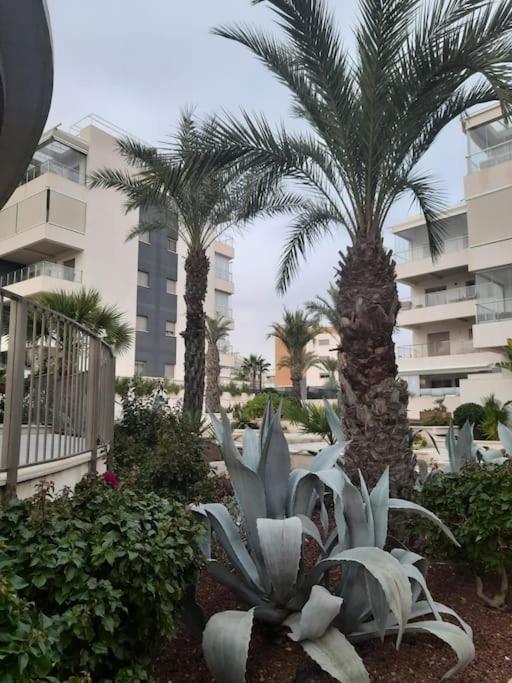 Green Hills Apartament La Zenia 3 New Beautifull Rooms Open First Season Alicante Exterior foto